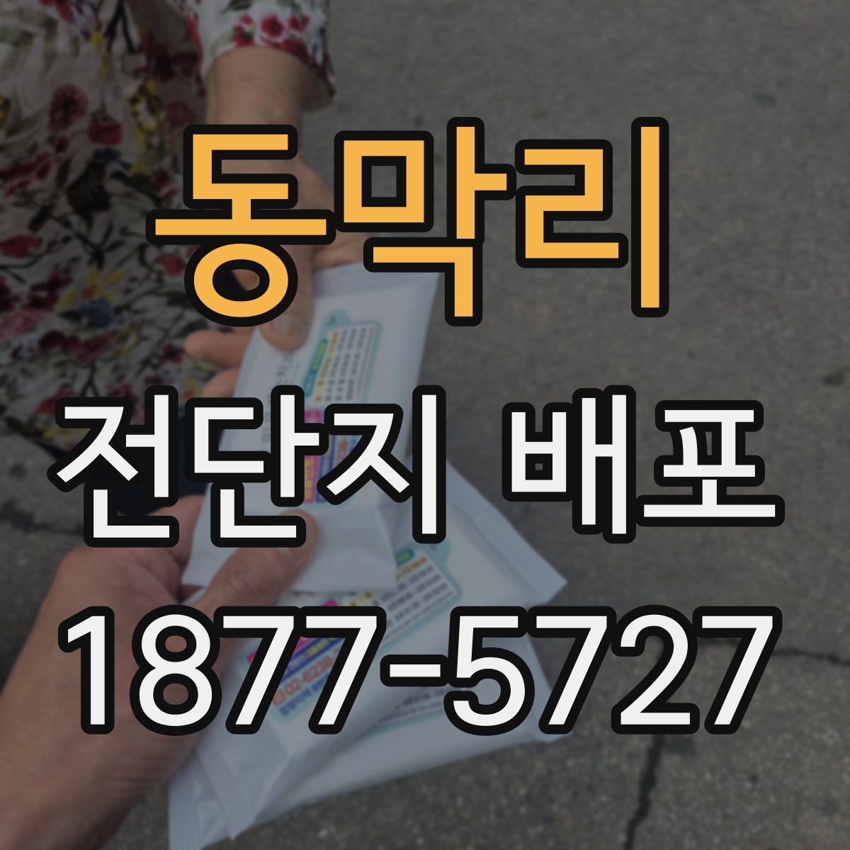 동막리 전단지 배포