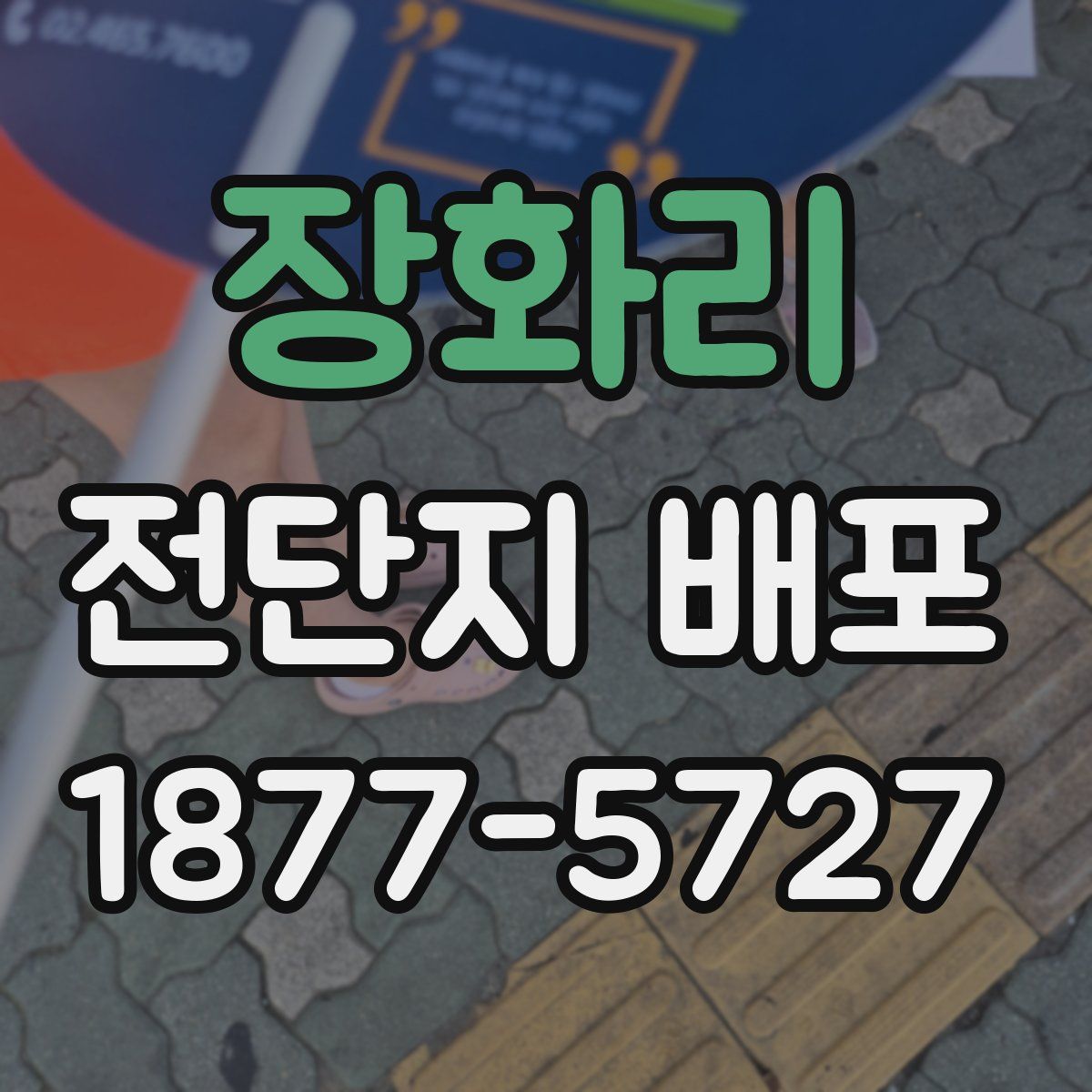 장화리 전단지 배포