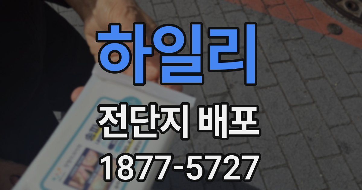 하일리 전단지 배포