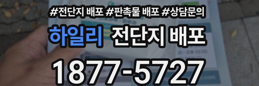 하일리 전단지 배포