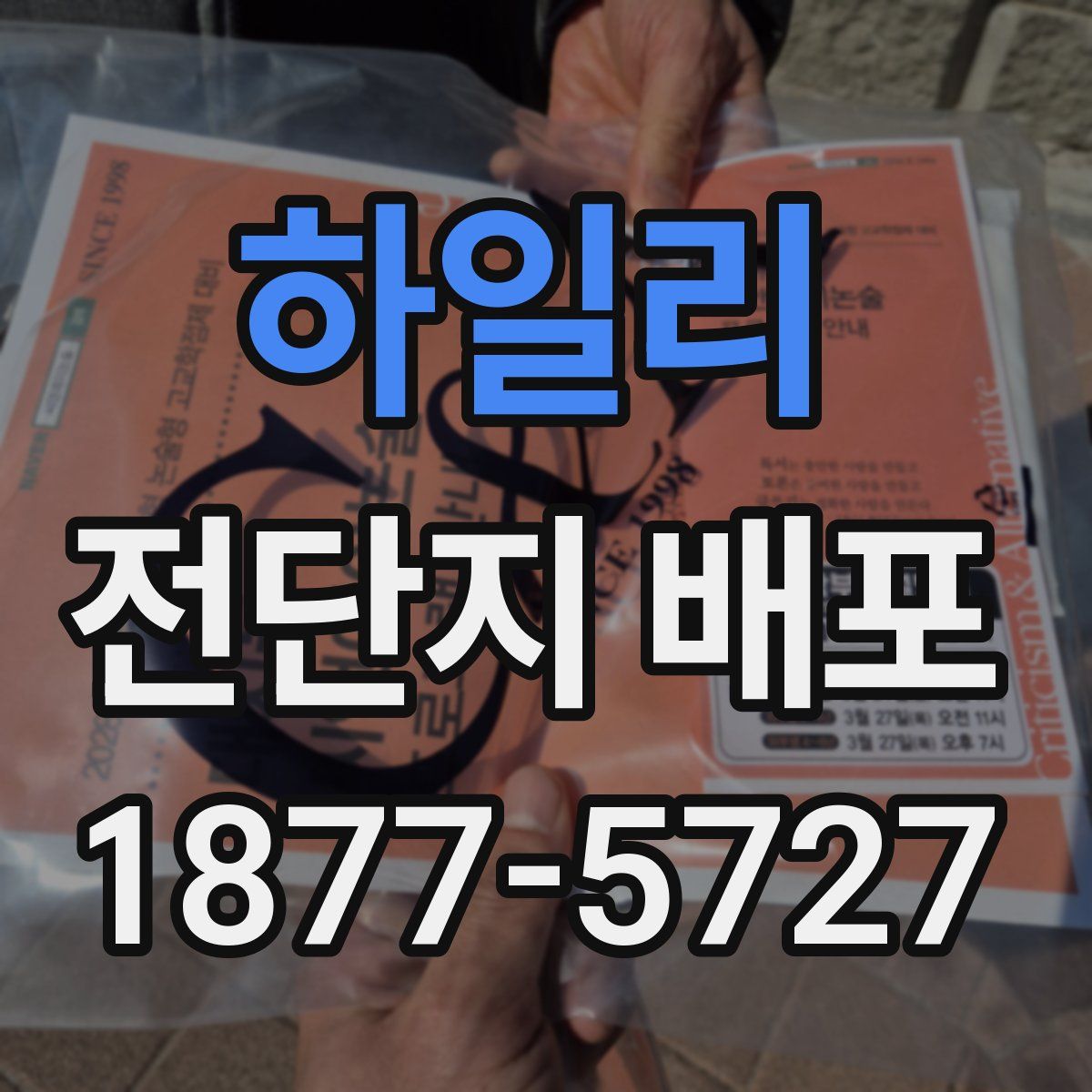 하일리 전단지 배포