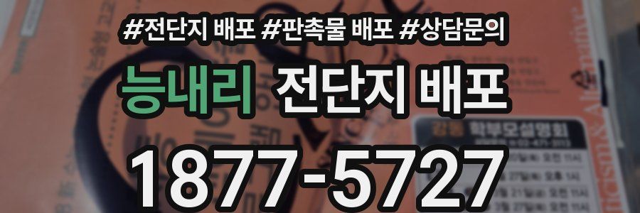 능내리 전단지 배포