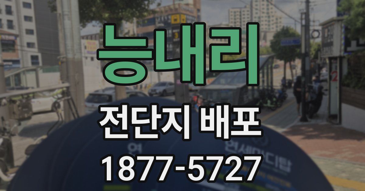 능내리 전단지 배포