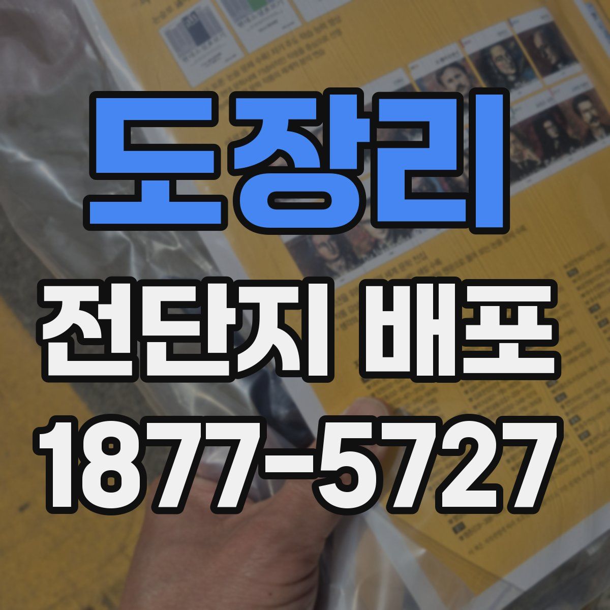 도장리 전단지 배포