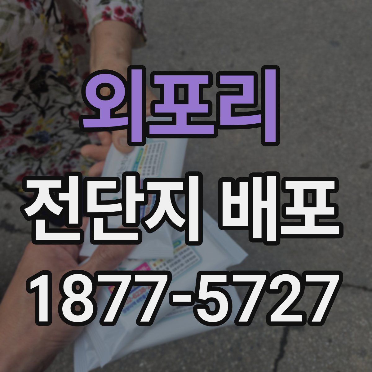 외포리 전단지 배포