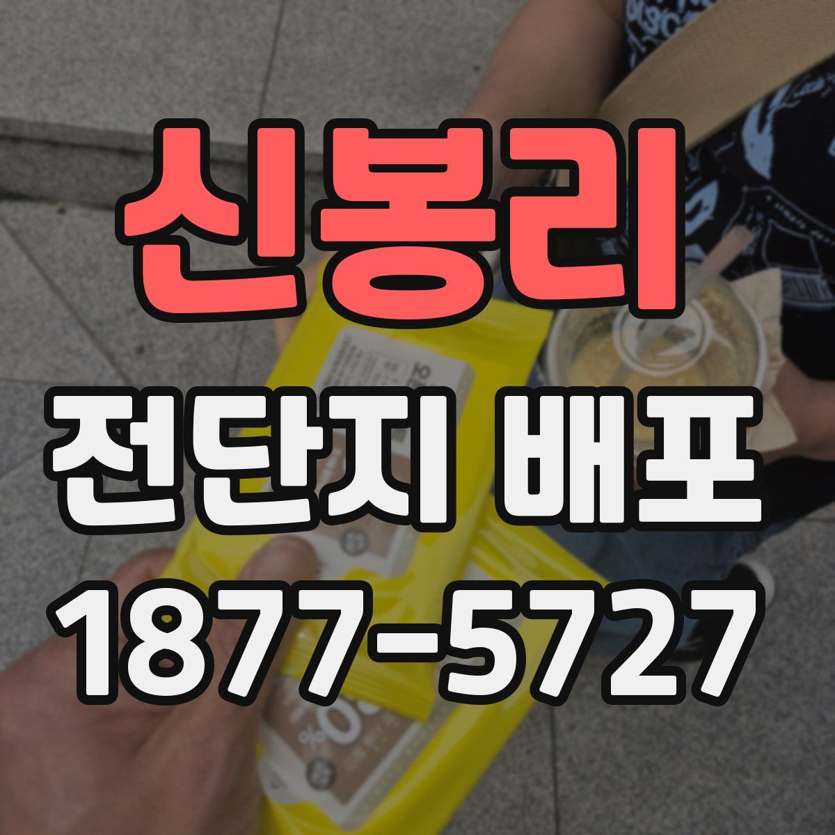 신봉리 전단지 배포