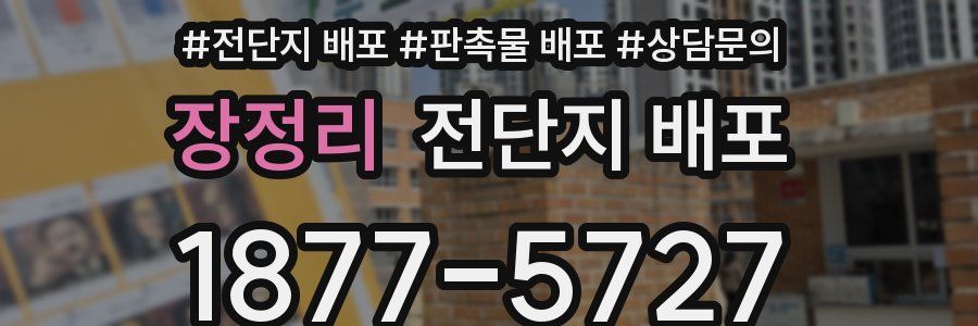 장정리 전단지 배포
