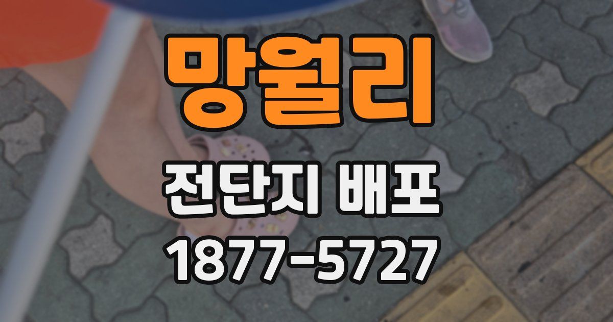 망월리 전단지 배포