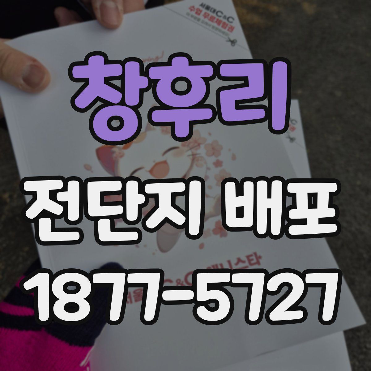 창후리 전단지 배포