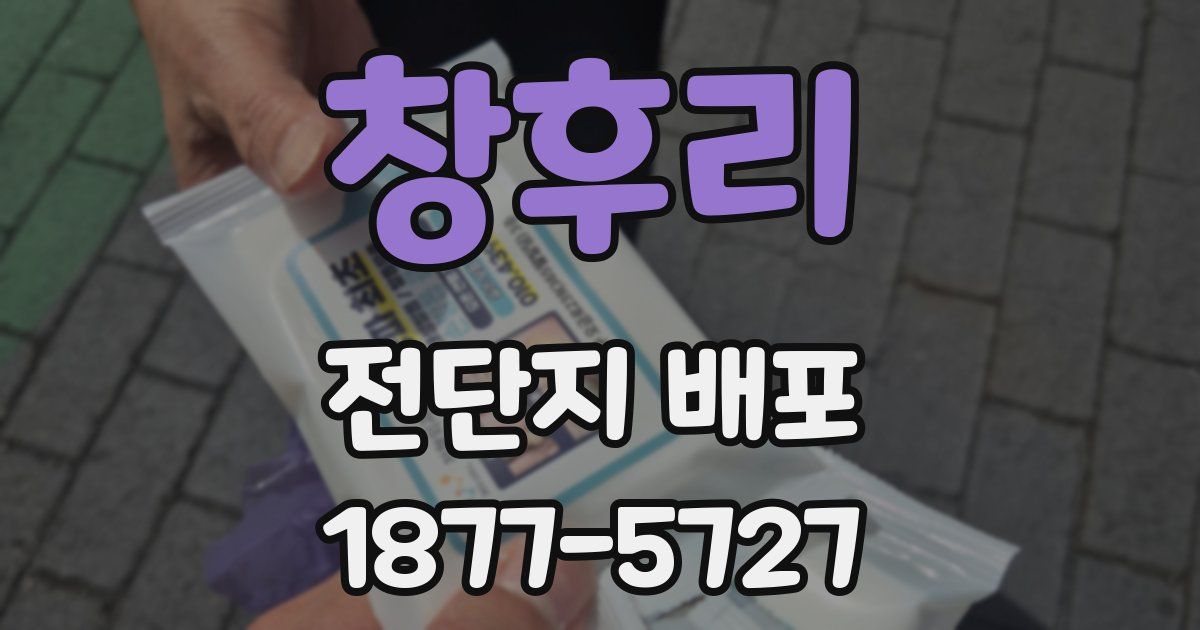 창후리 전단지 배포