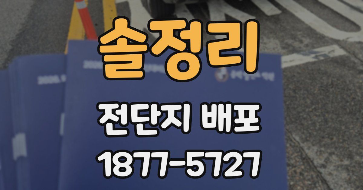 솔정리 전단지 배포