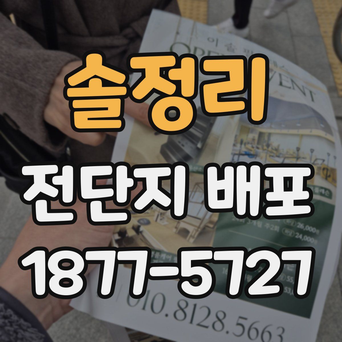 솔정리 전단지 배포