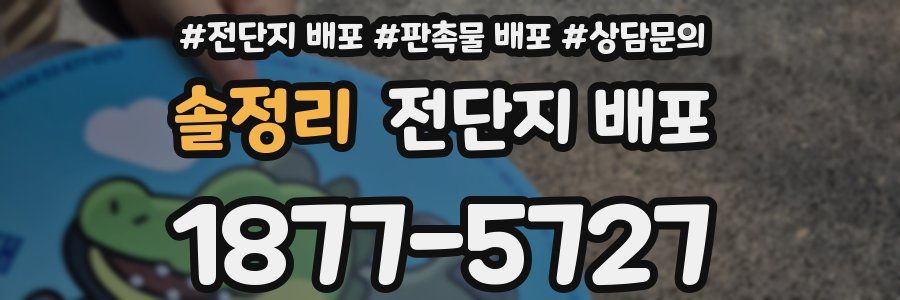 솔정리 전단지 배포