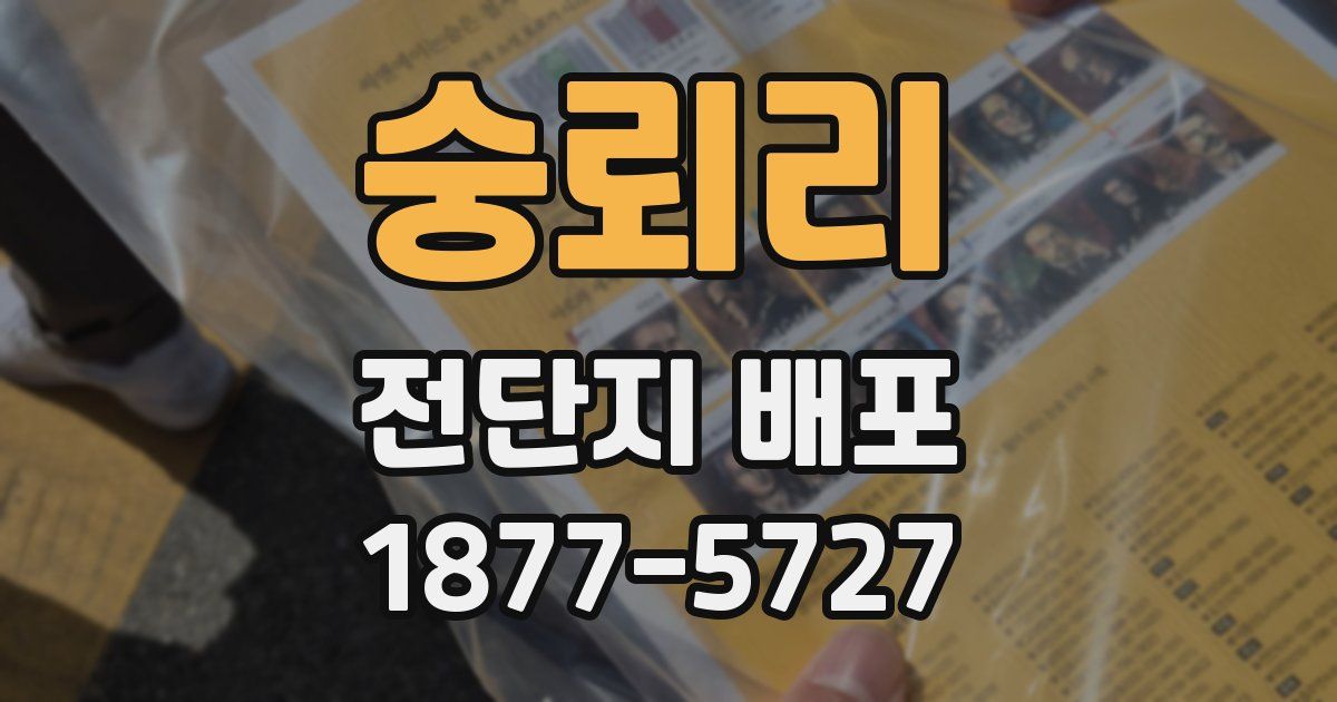 숭뢰리 전단지 배포