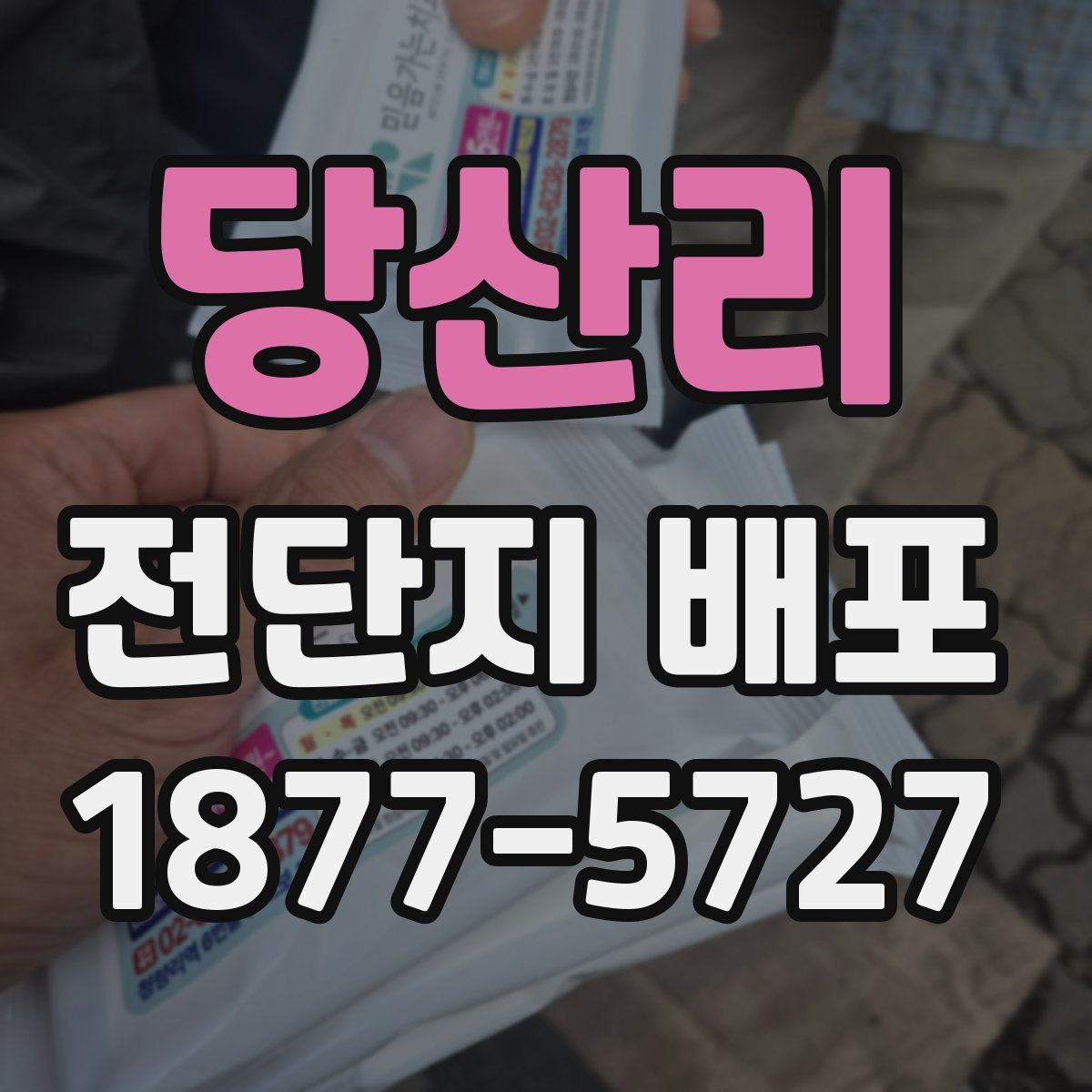 당산리 전단지 배포
