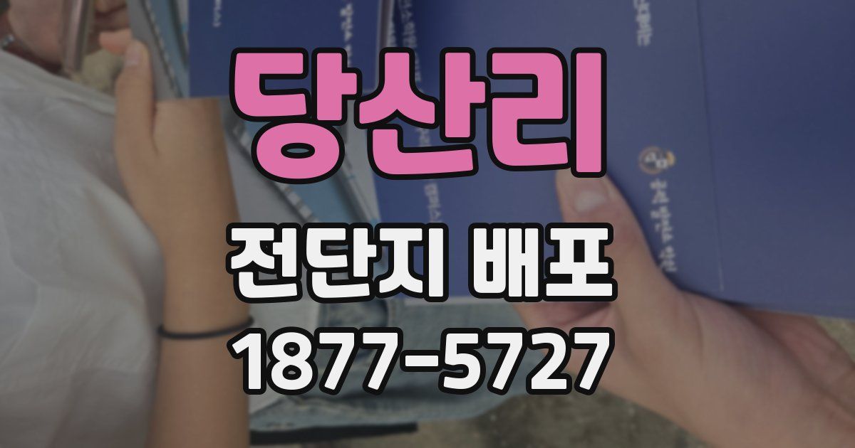 당산리 전단지 배포