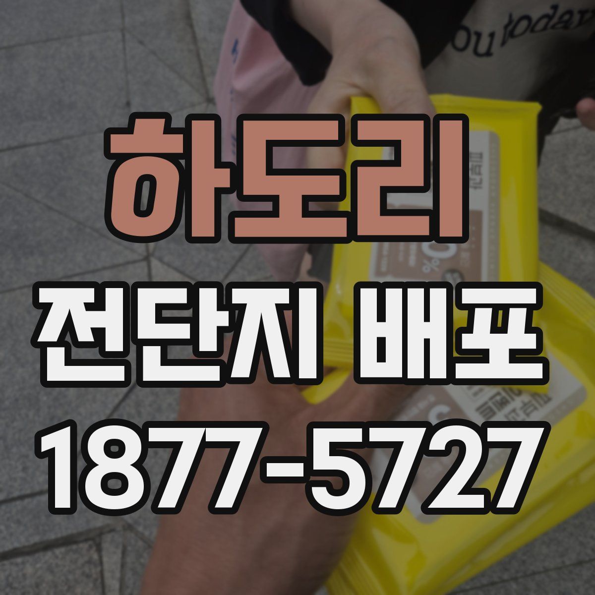 하도리 전단지 배포