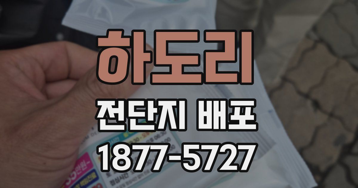하도리 전단지 배포