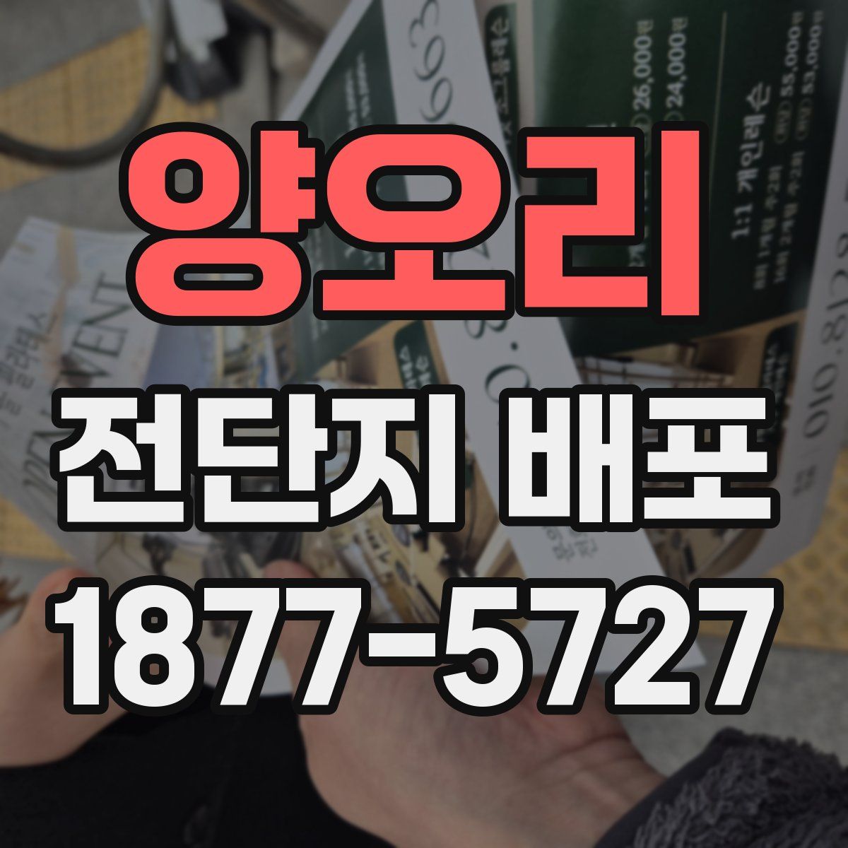 양오리 전단지 배포