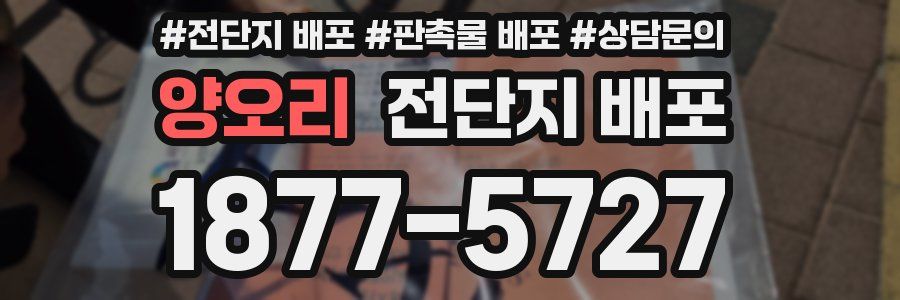 양오리 전단지 배포