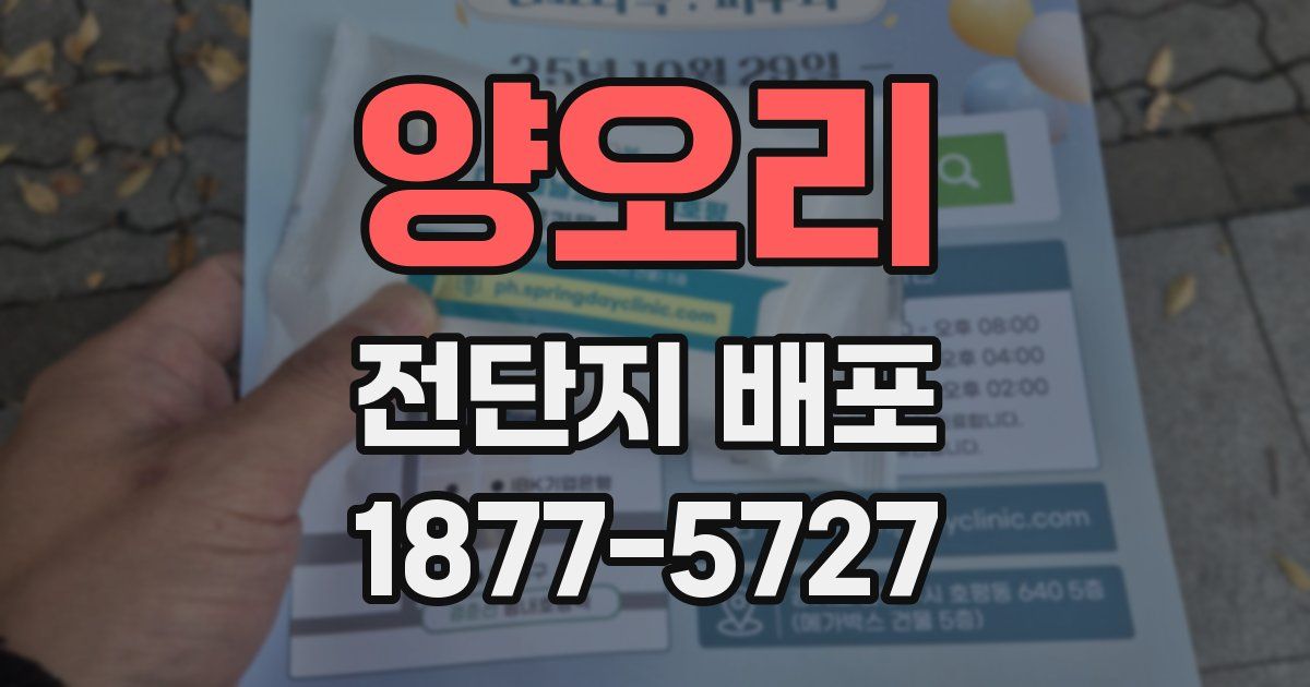 양오리 전단지 배포
