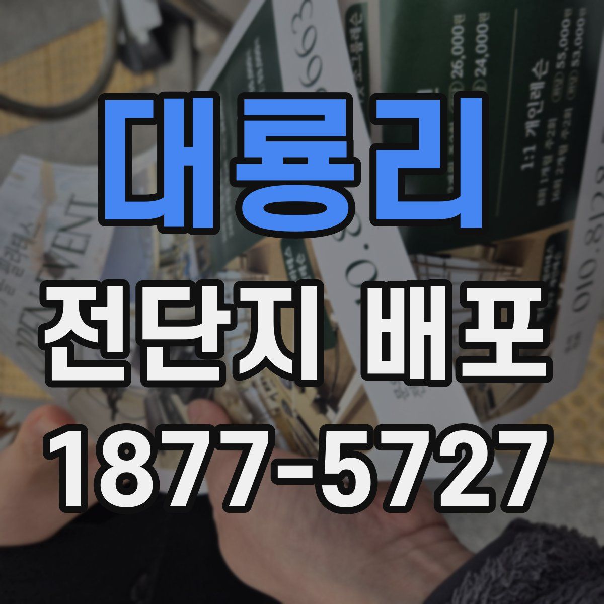 대룡리 전단지 배포