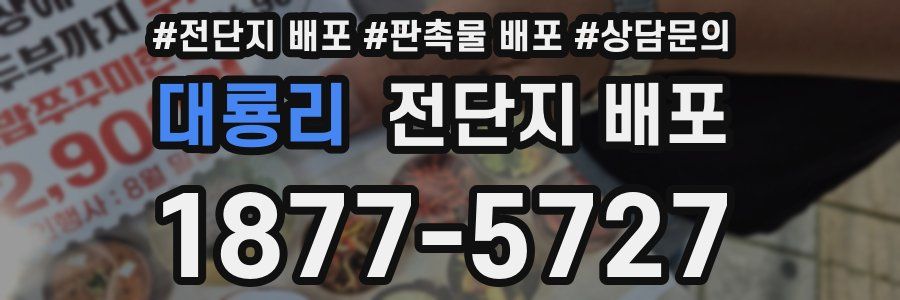 대룡리 전단지 배포