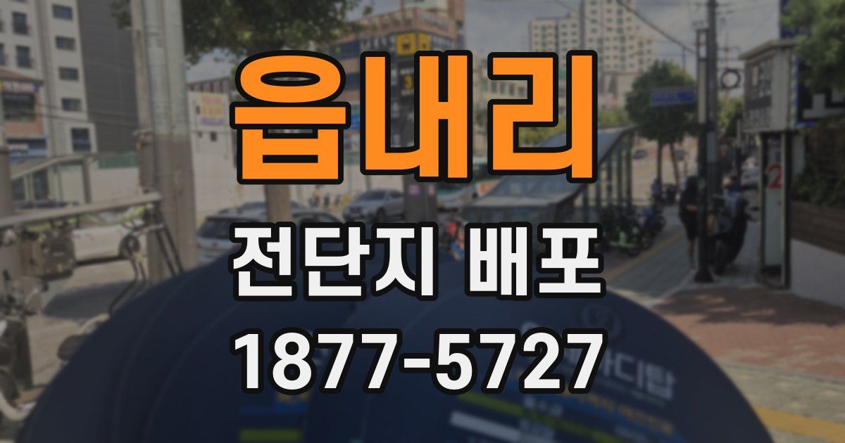 읍내리 전단지 배포