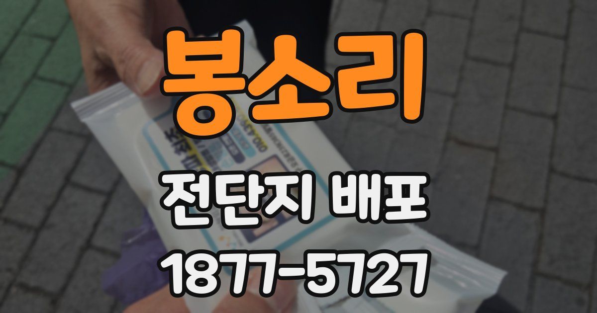 봉소리 전단지 배포