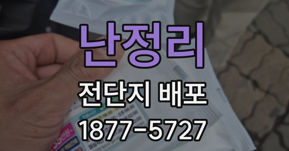 난정리 전단지 배포