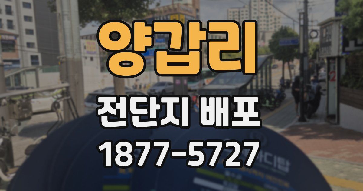 양갑리 전단지 배포
