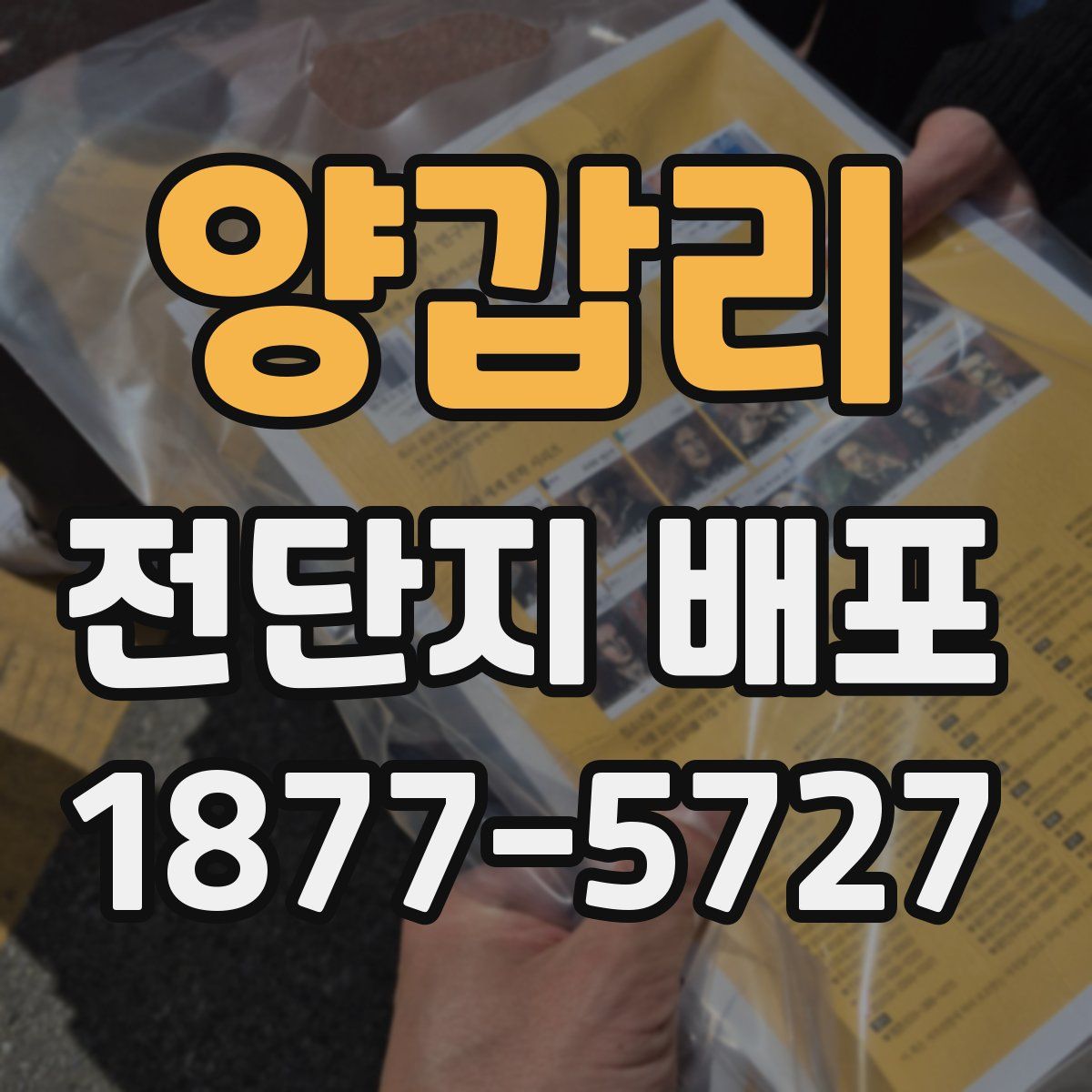 양갑리 전단지 배포
