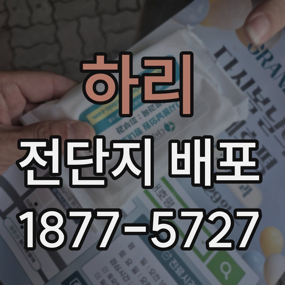 하리 전단지 배포