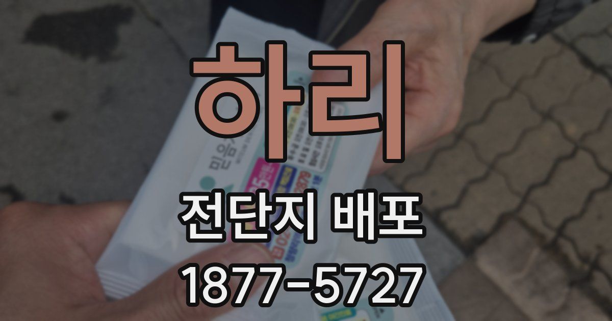 하리 전단지 배포