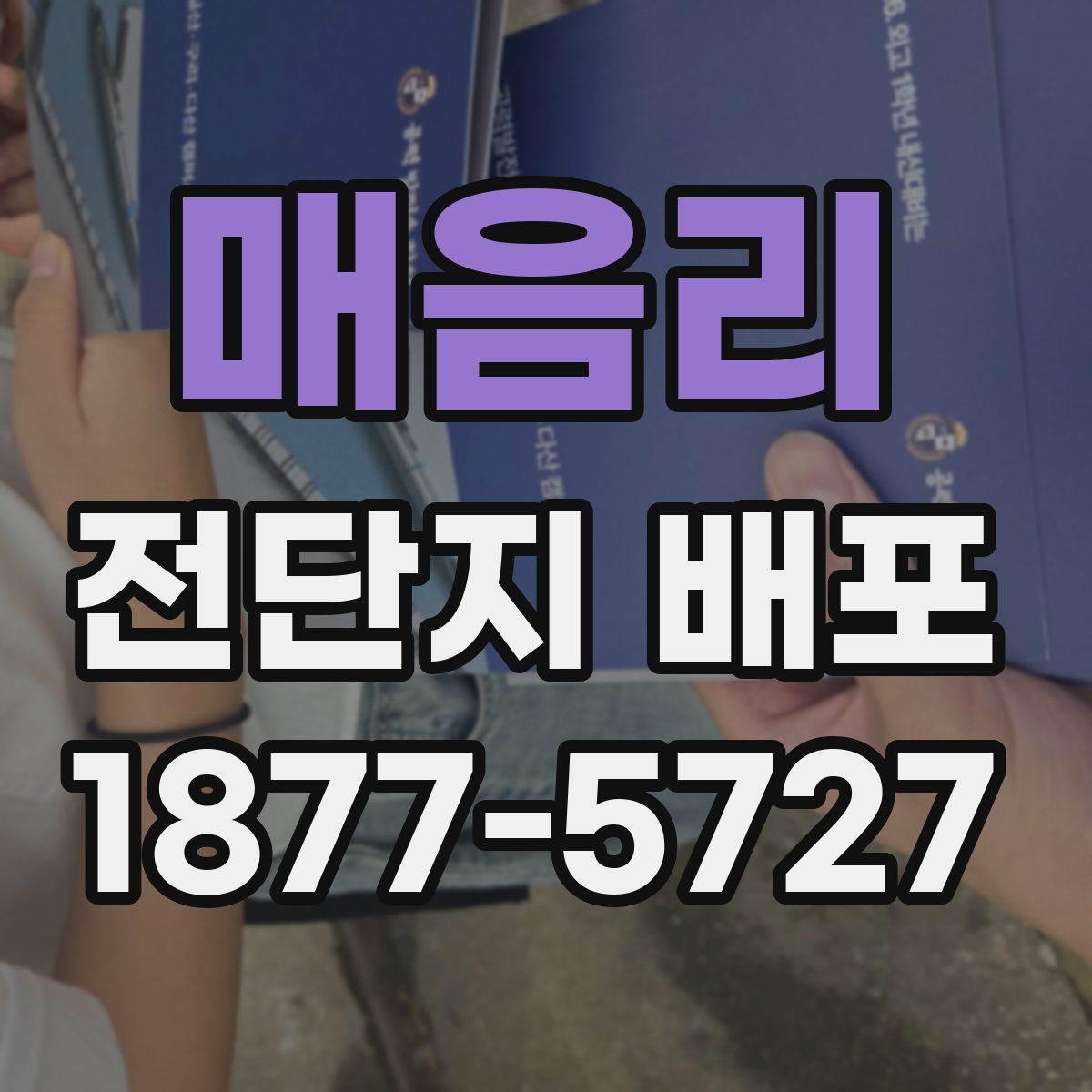 매음리 전단지 배포