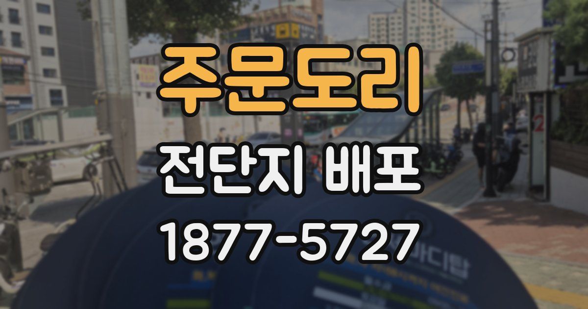 주문도리 전단지 배포