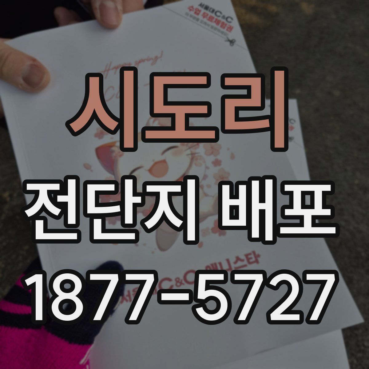 시도리 전단지 배포