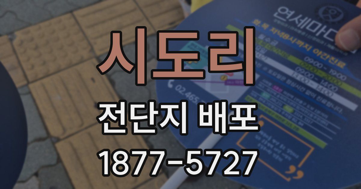 시도리 전단지 배포