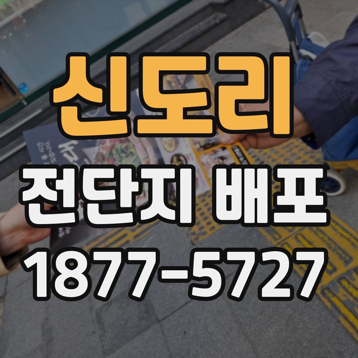 신도리 전단지 배포
