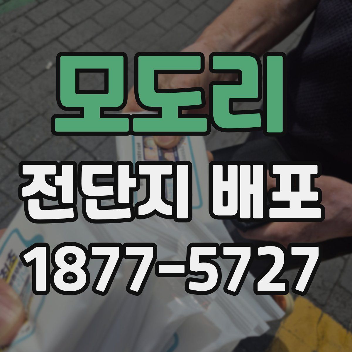 모도리 전단지 배포