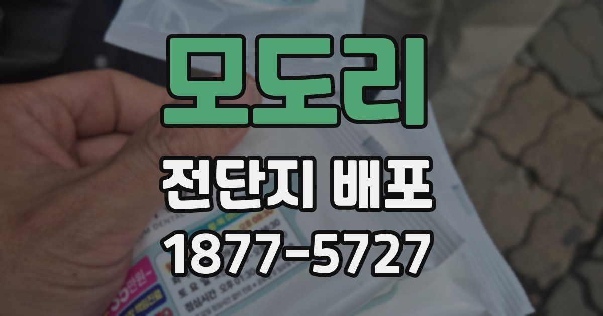 모도리 전단지 배포