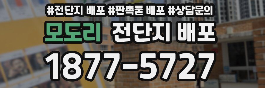 모도리 전단지 배포
