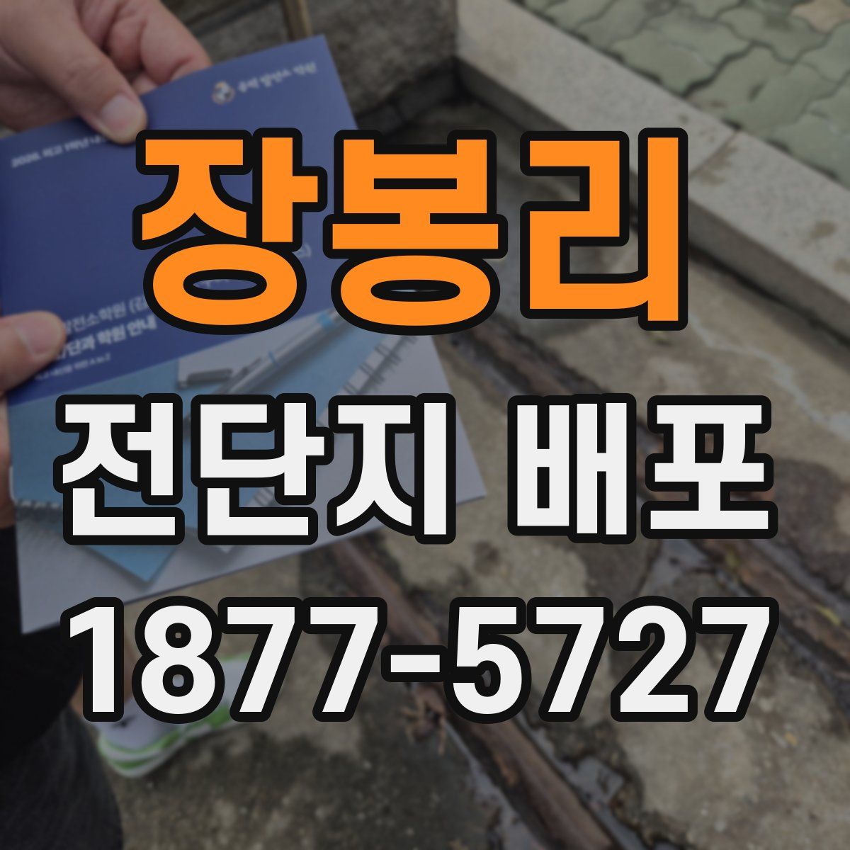 장봉리 전단지 배포