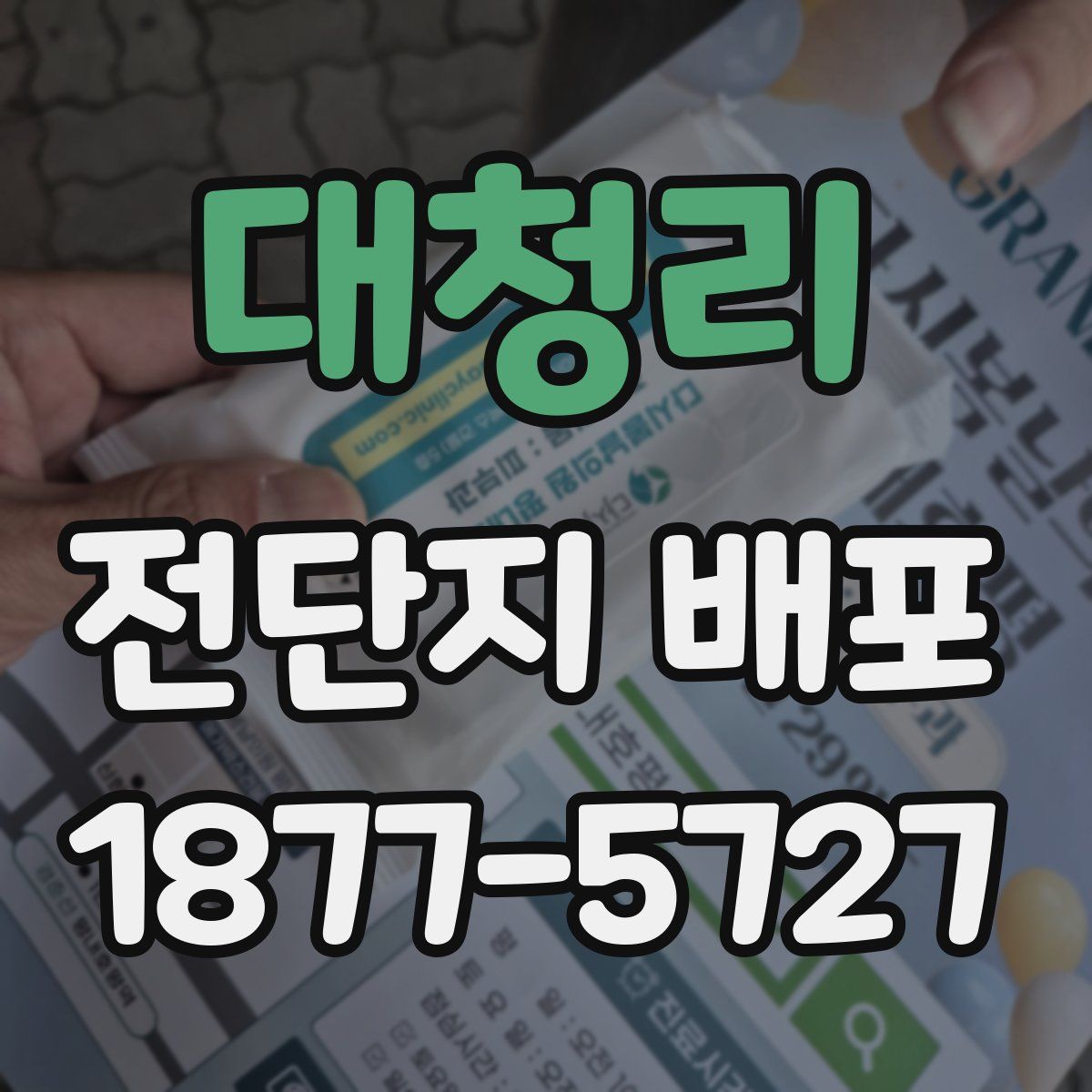 대청리 전단지 배포