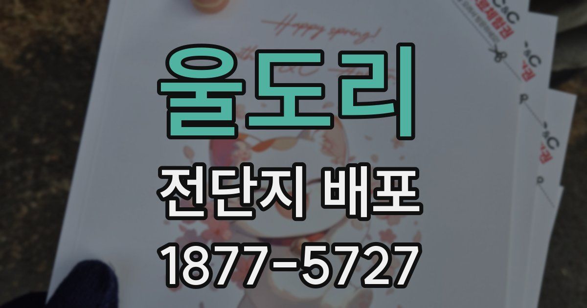 울도리 전단지 배포