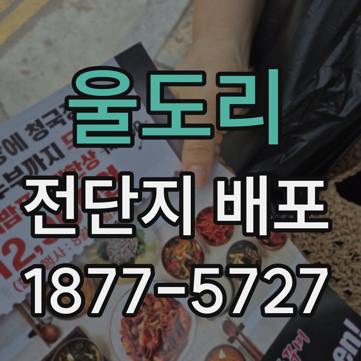 울도리 전단지 배포