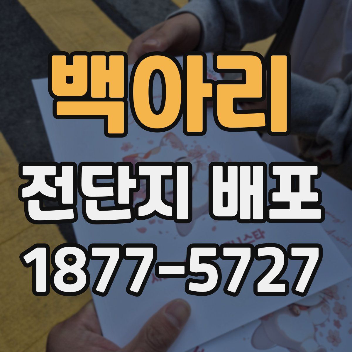 백아리 전단지 배포