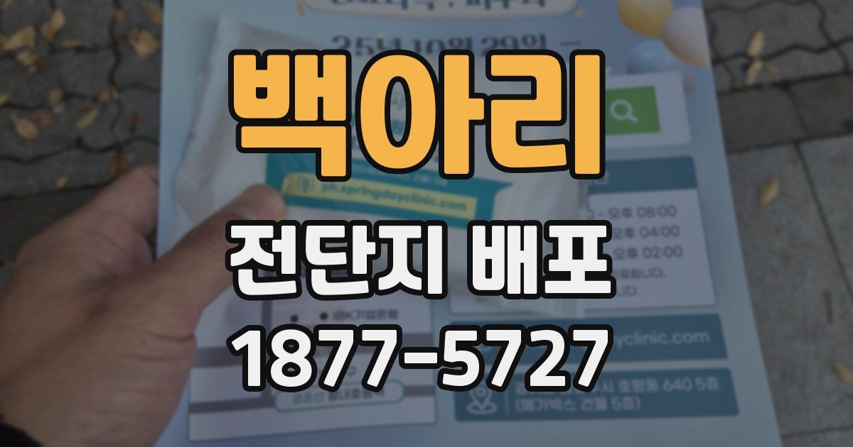 백아리 전단지 배포