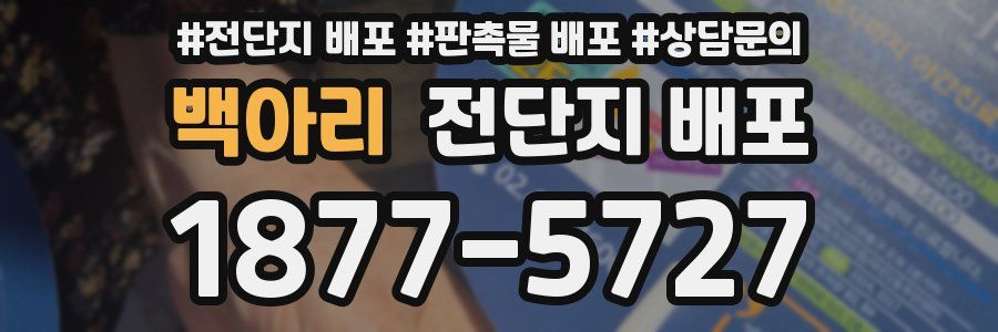 백아리 전단지 배포