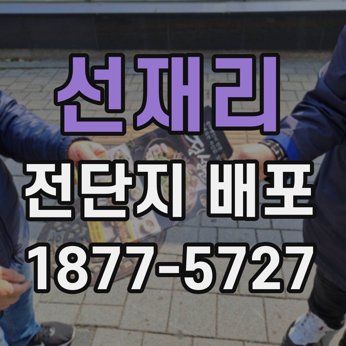 선재리 전단지 배포